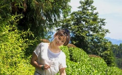 密逃节目组回应拖欠工程款